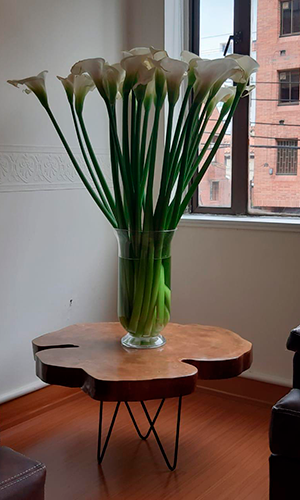 Sala de Calseta de Plátano